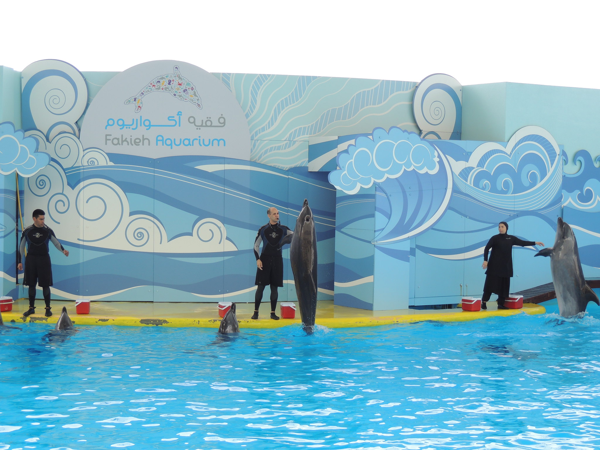 Fakieh Aquarium